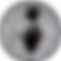 Liverpool Geological Society | Charici