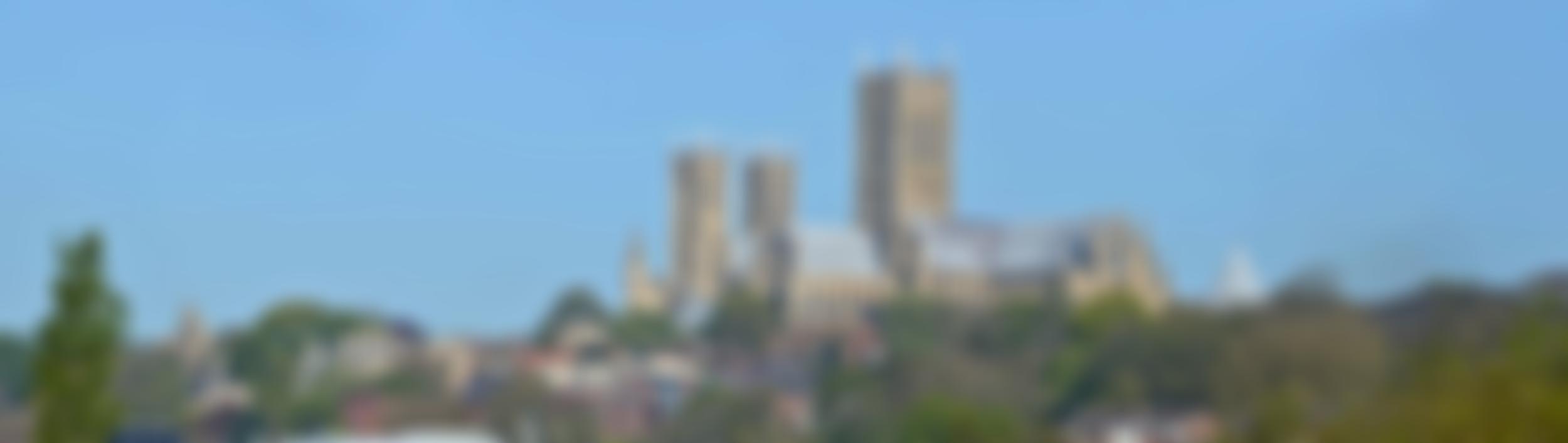 The Association Of The Friends Of Lincoln Cathedral | Charici