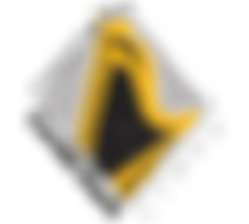 Cymdeithas Cerdd Dant Cymru | Charici