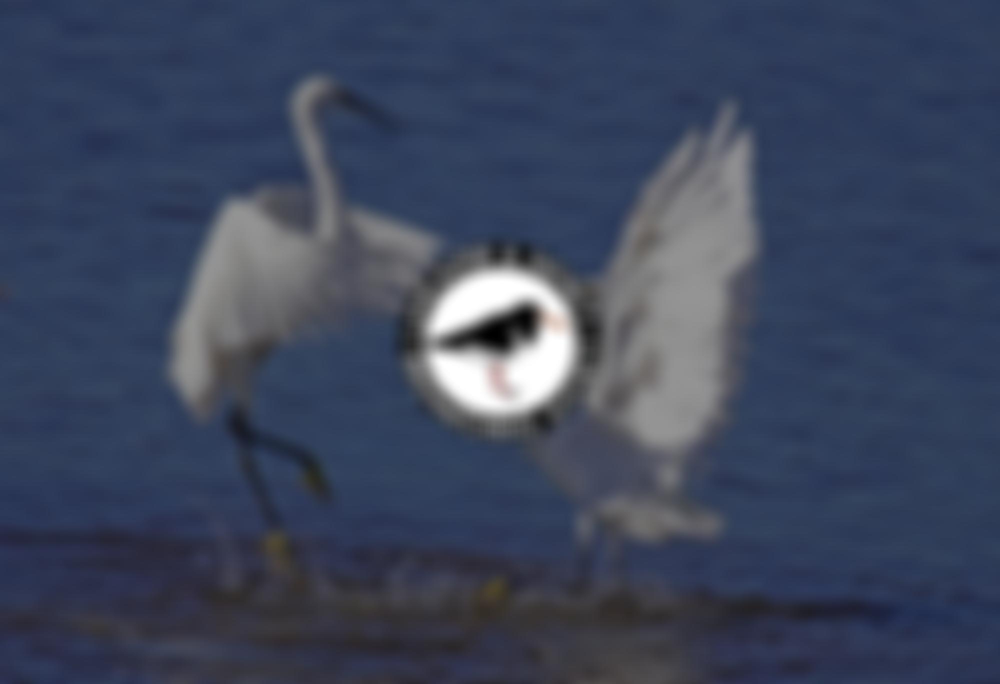 The Lancaster And District Bird Watching Society | Charici