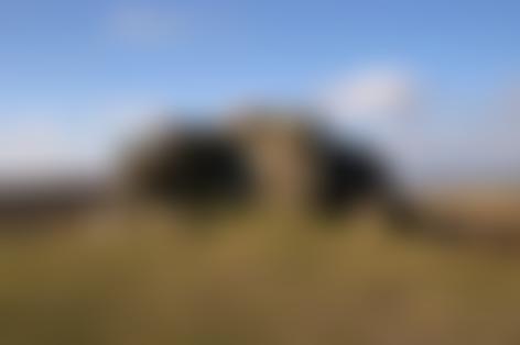 Camrose Community Association | Charici