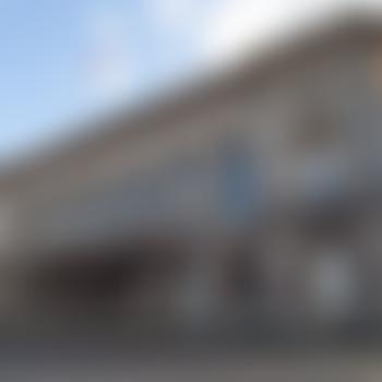 Weelsby Woods | Charici