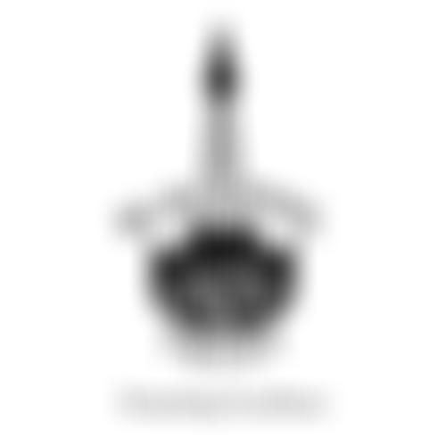 Blackpool Civic Trust | Charici