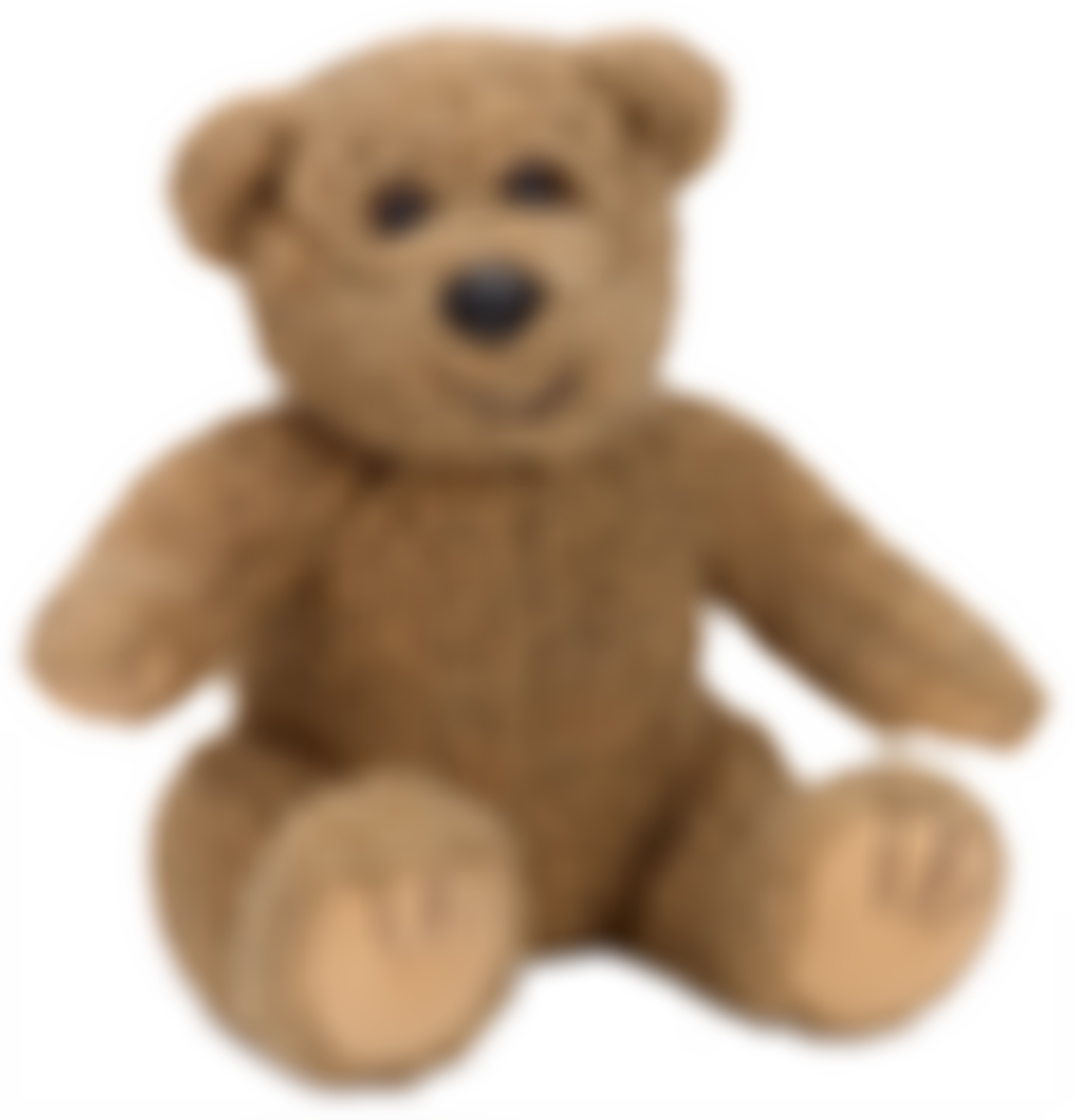 The Ruth Dickson Trust | Charici