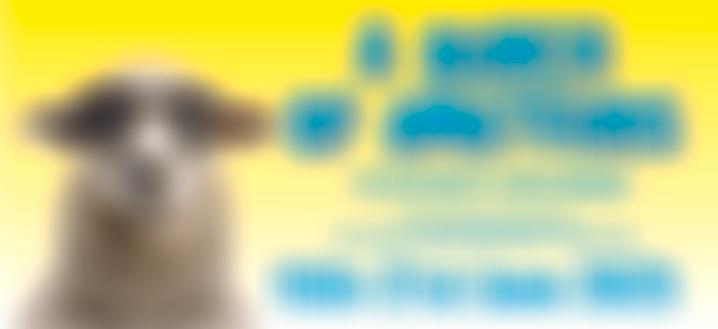 The Poynton Players | Charici