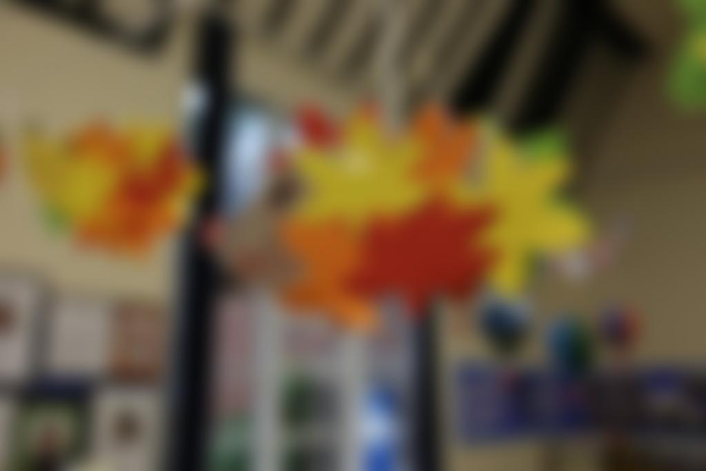 The Stella Maris School | Charici