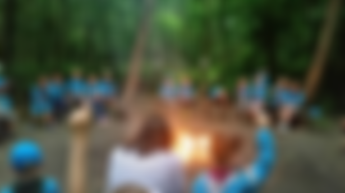 Clwyd Area Scout Council | Charici