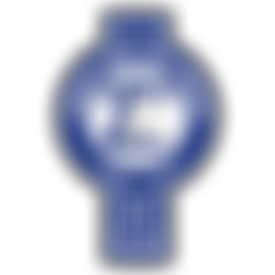 The Lincoln Diocesan Guild Of Church Bell Ringers Bell Repair Fund | Charici