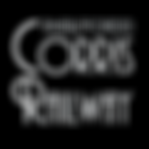 The Corris Railway Society | Charici