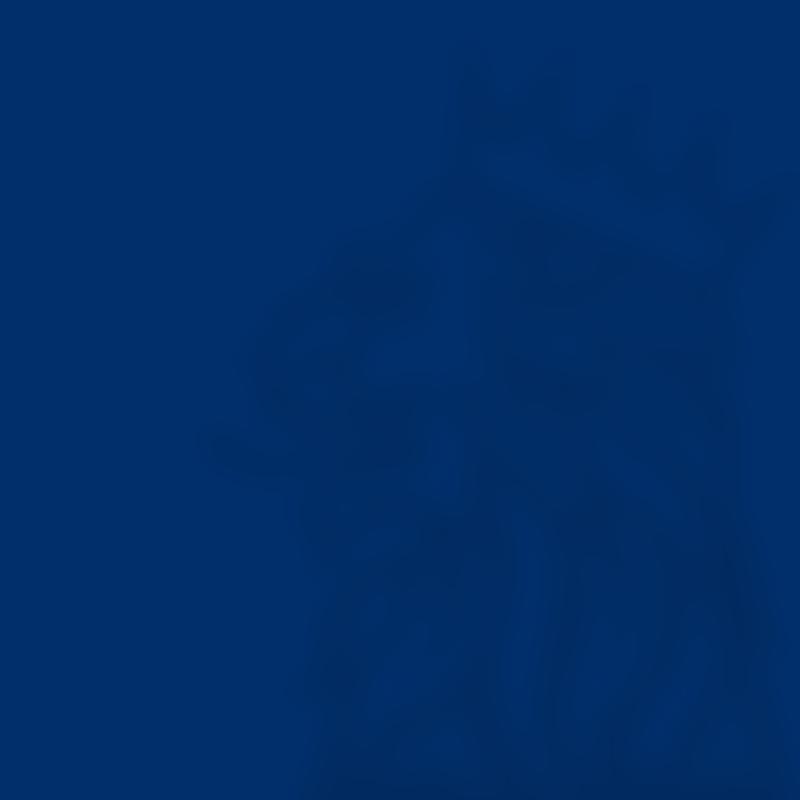 Witham Hall School Trust Limited | Charici