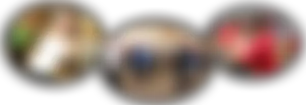 Haywood Rheumatism Research And Development Foundation | Charici