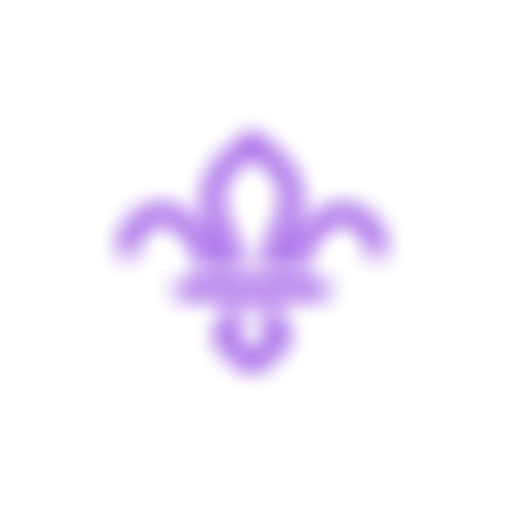 Wyre Forest Scout Council | Charici