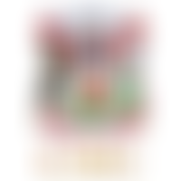 The Cardiff Male Choir | Charici