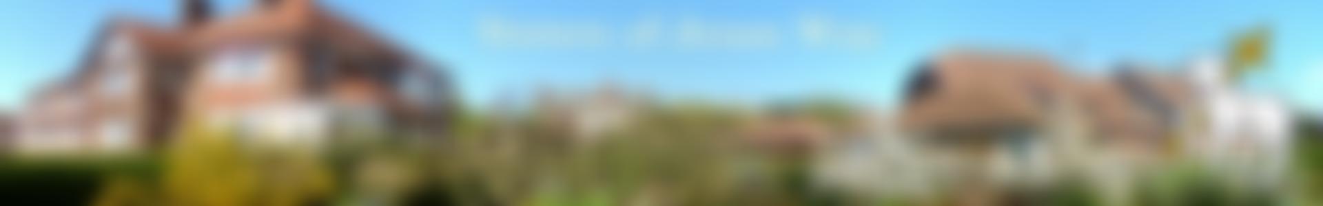 Sisters Of Jesus Way | Charici