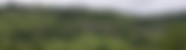 Land Near Mount Pleasant Farm, Ireton Wood Idridgehay | Charici