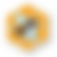 The Pembrokeshire Beekeepers' Association | Charici