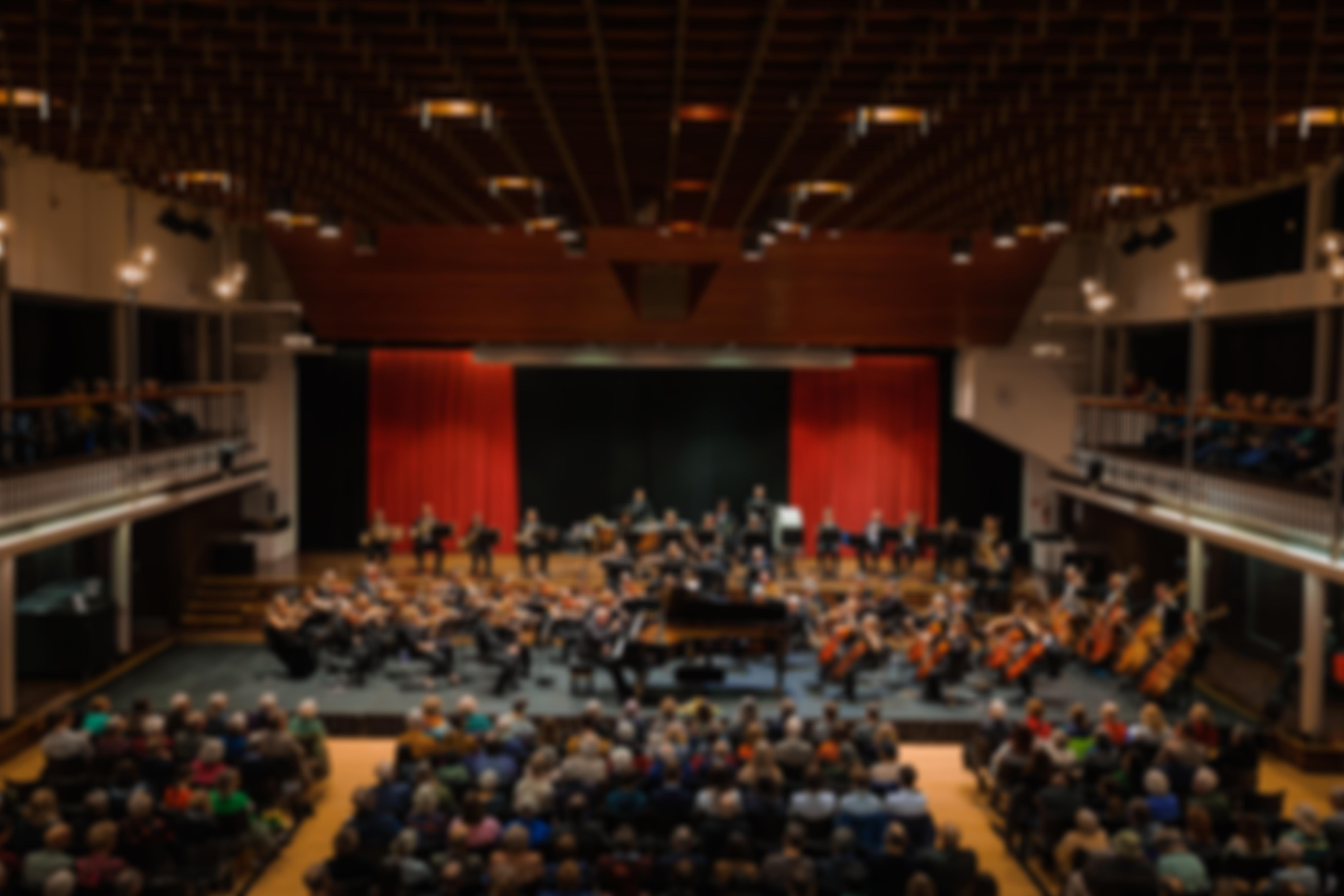 The Haffner Orchestra | Charici