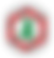 Cymdeithas Gwenynwyr Cymru/The Welsh Beekeepers' Association | Charici