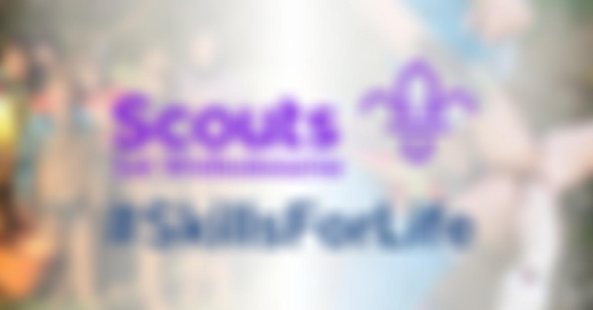 1St Wellesbourne Scout Group | Charici