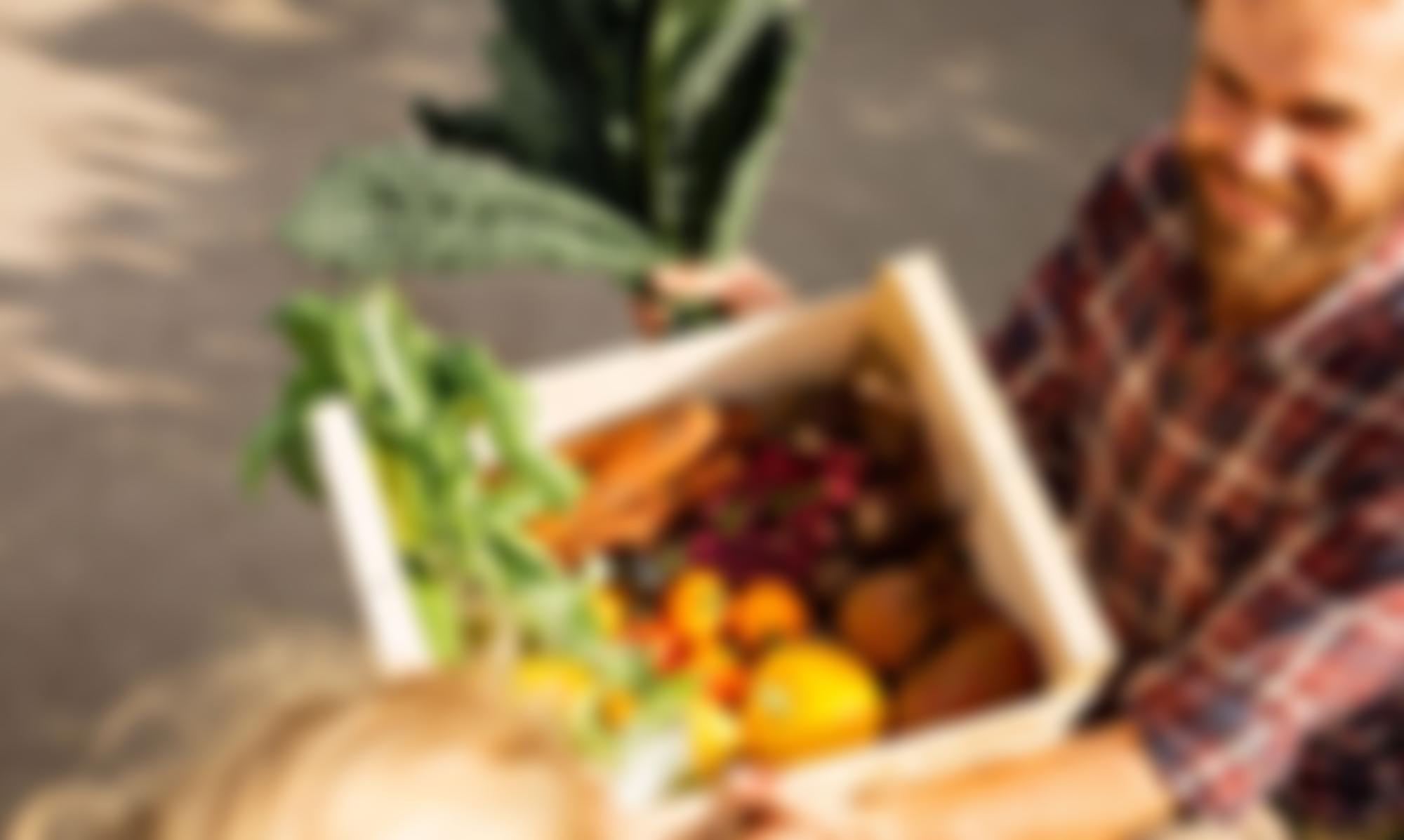 Meanwood Valley Urban Farm Limited | Charici