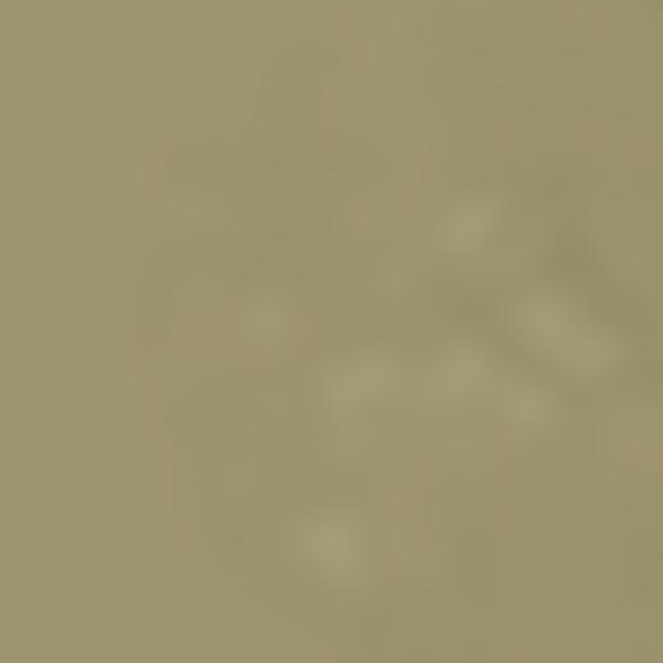 Leicester Grammar School Trust | Charici