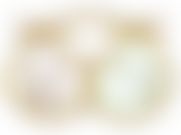 The North Staffordshire Beekeepers' Association | Charici