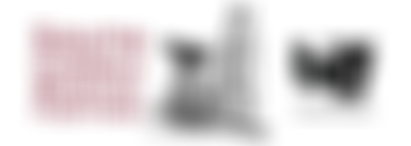 South Cumbria Musical Festival Association | Charici