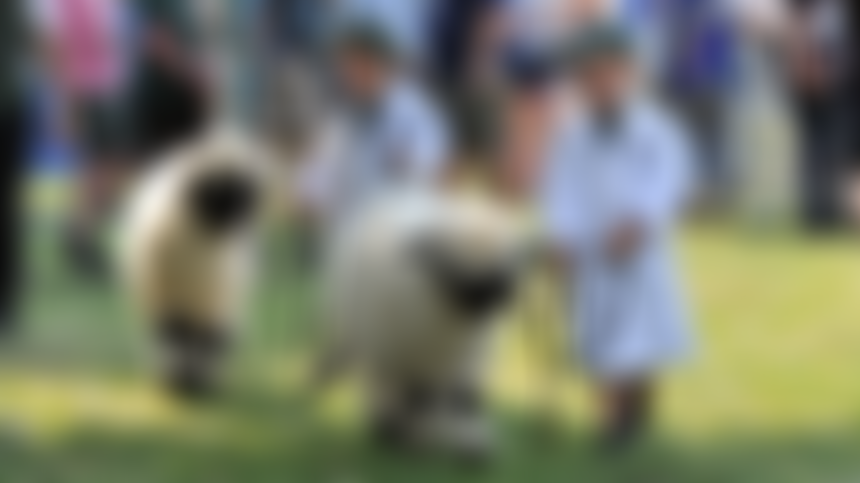 Three Counties Agricultural Society | Charici