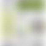 Scruton Playing Field Association | Charici