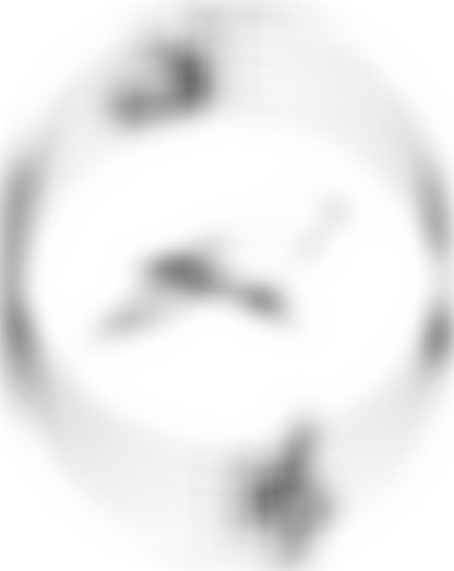 Risca Male Choir | Charici