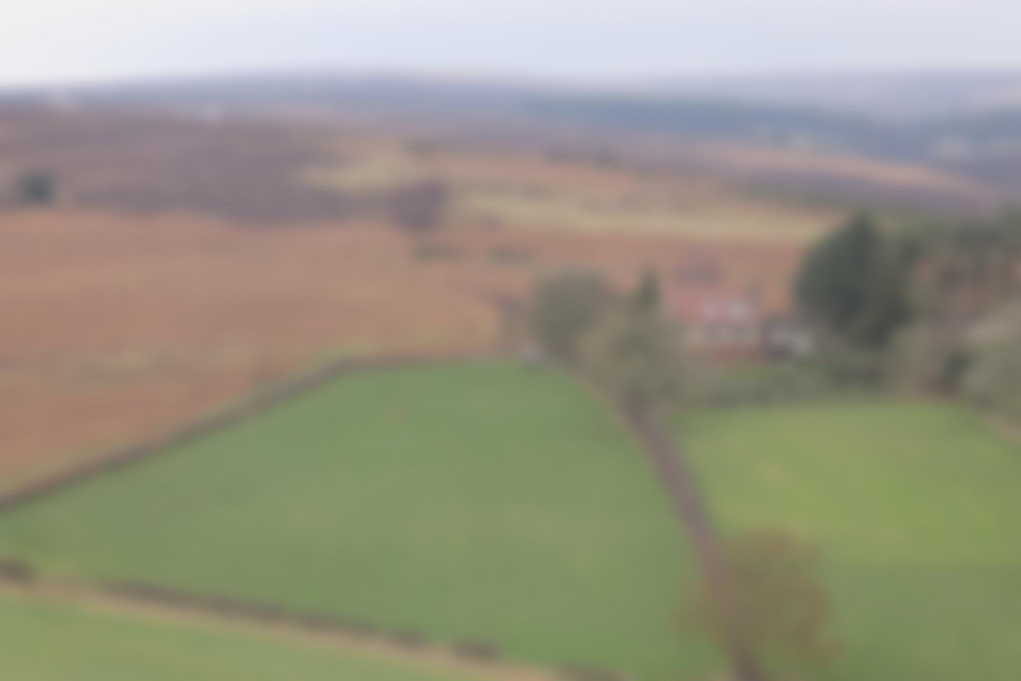 The Barmoor 1982 Trust | Charici