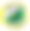 Cymdeithas Hanes Teuluoedd Dyfed/Dyfed Family History Society | Charici