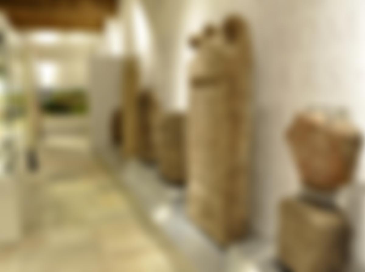 The Friends Of Shrewsbury Museum And Art Gallery | Charici