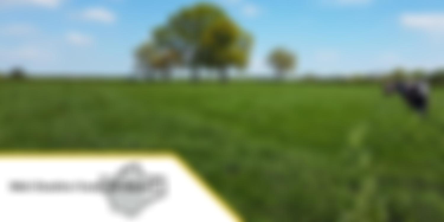 Mid Cheshire Footpath Society | Charici