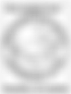 The Macclesfield Seals Swimming Club | Charici