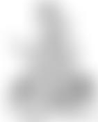 Cymdeithas Genedlaethol Hywel Dda | Charici