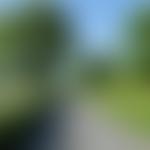 The Yorkshire Dales Society | Charici