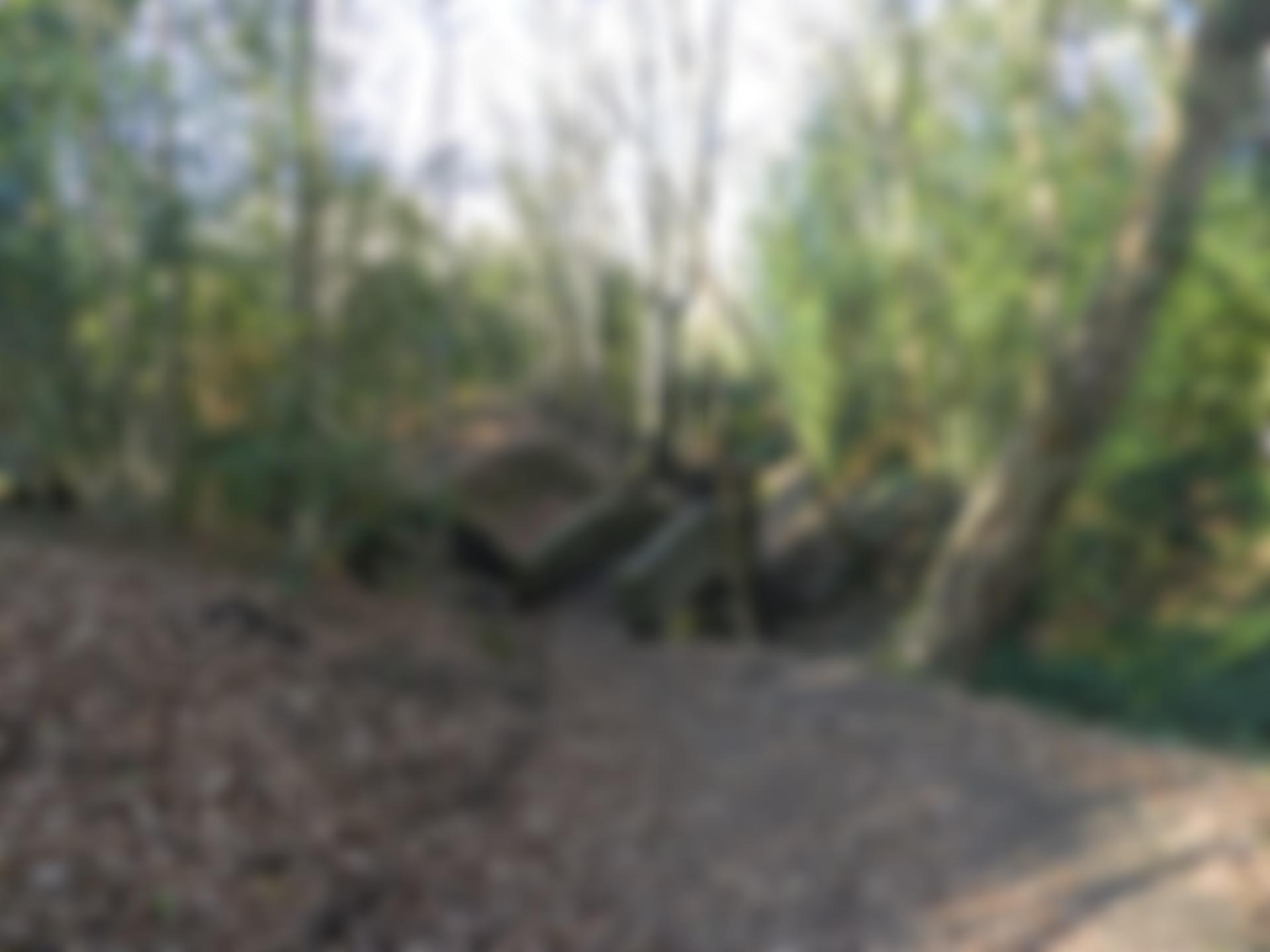 Tynedale U3A | Charici