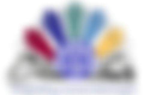 Central Glamorgan Guides | Charici