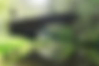 Monmouthshire, Brecon And Abergavenny Canals Trust Limited | Charici