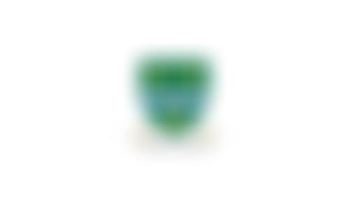 Our Lady's Catholic High School Fund | Charici