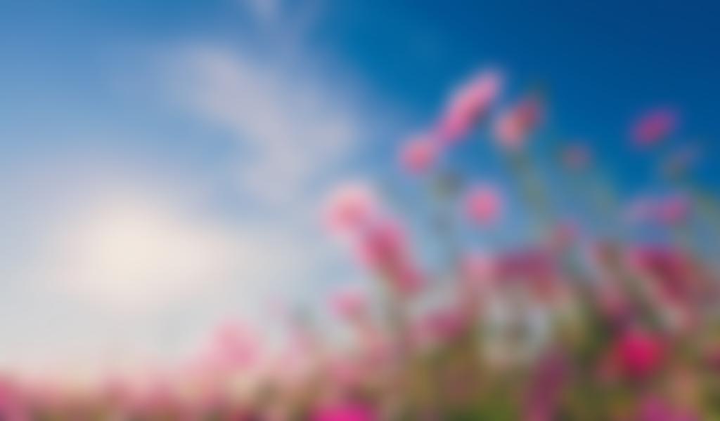 Blackburn Symphony Orchestra | Charici