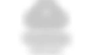 The Guide Association North Yorkshire South | Charici