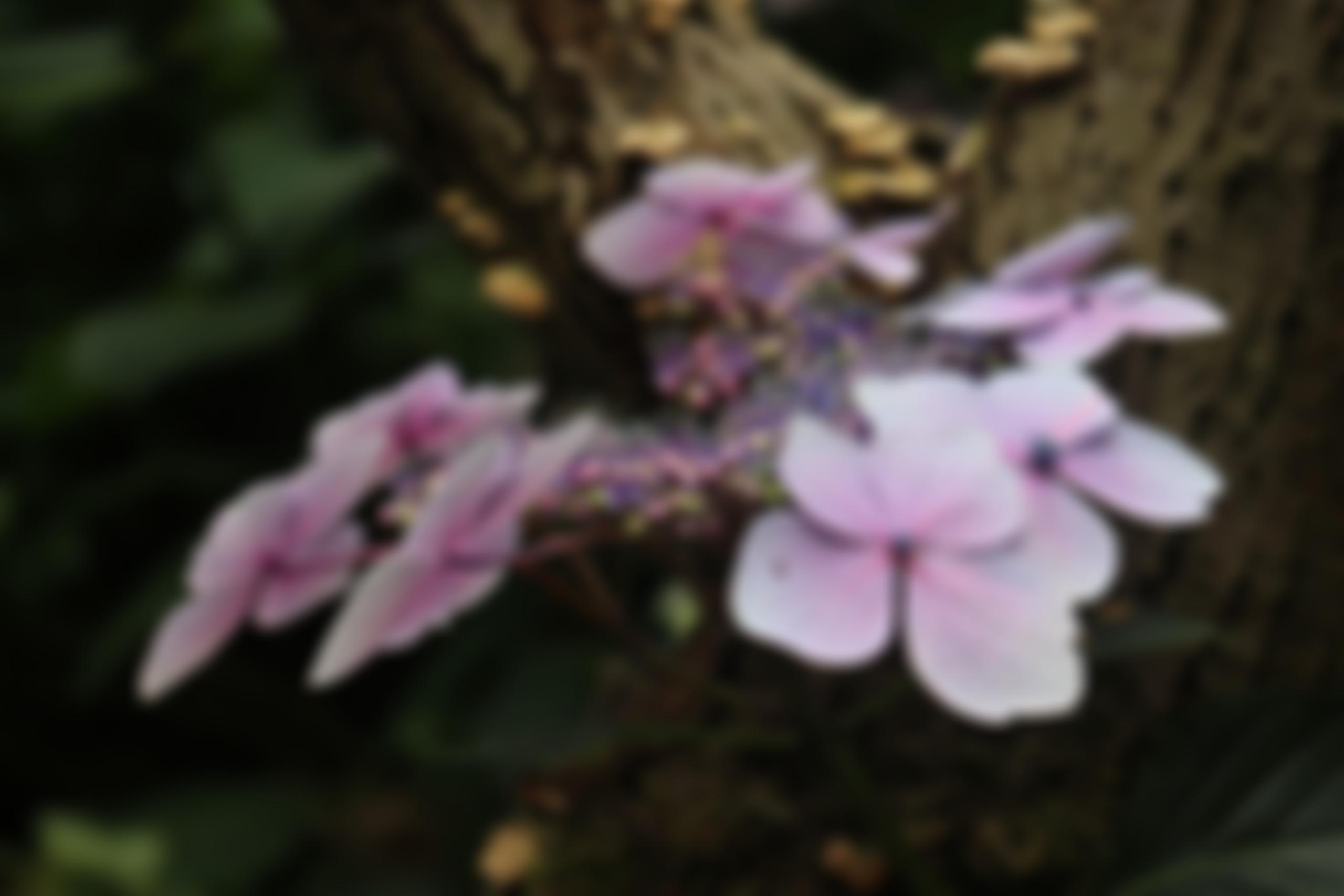 The John Eastwood Hospice Trust | Charici