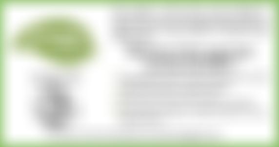 Merseyside Environmental Trust | Charici