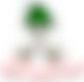 Comins Coch County Primary School Parent/Teacher Association | Charici