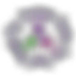 The Swansea Centre For Deaf People | Charici