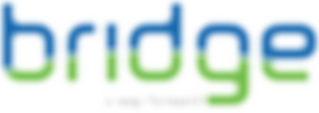 The Bridge Project | Charici