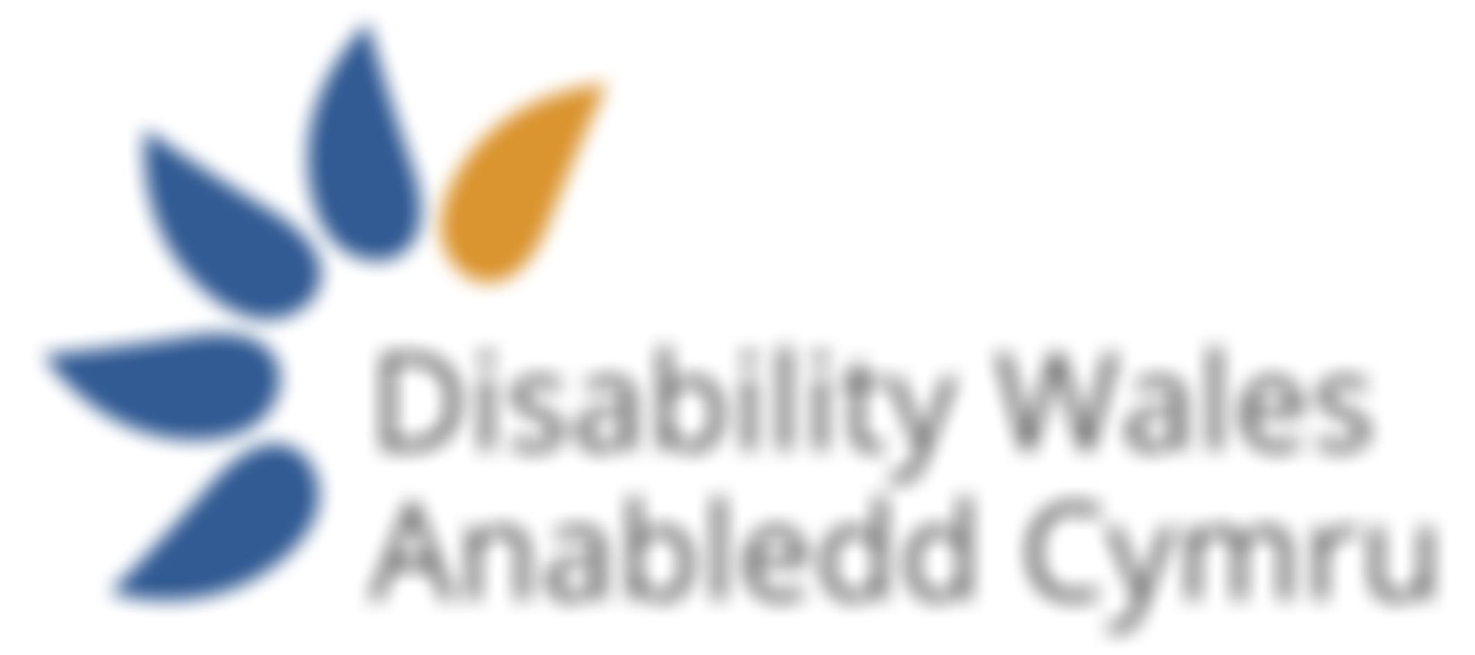 Disability Wales / Anabledd Cymru | Charici