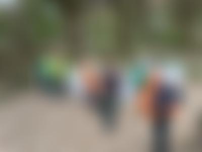 Colne Valley Tree Society | Charici